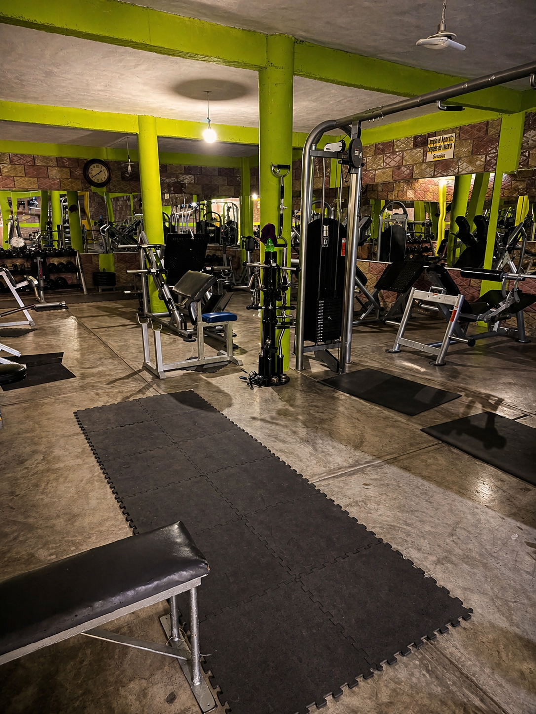 Pitbull Gym Zinapécuaro